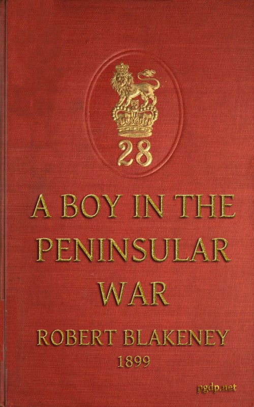 A boy in the Peninsular War