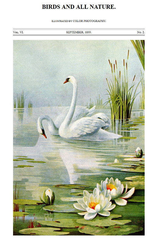 Birds and All Nature, Vol. 6, No. 2, September 1899  Illustrated by Color Photography