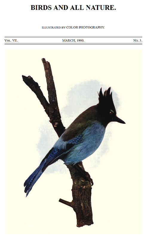 Birds and All Nature, Vol 7, No. 3, March 1900  Illustrated by Color Photography
