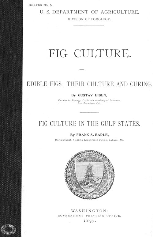 Fig Culture  Edible Figs: Their Culture and Curing. Fig Culture in the Gulf States.