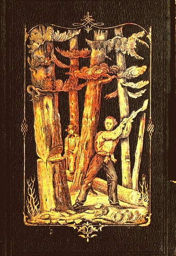 Forest Life and Forest Trees: comprising winter camp-life among the loggers, and wild-wood adventure.  with Descriptions of lumbering operations on the various  rivers of Maine and New Brunswick