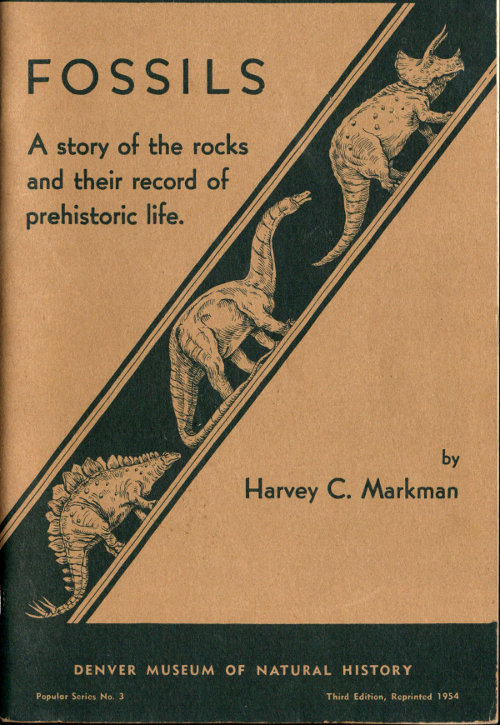Fossils: A Story of the Rocks and Their Record of Prehistoric Life