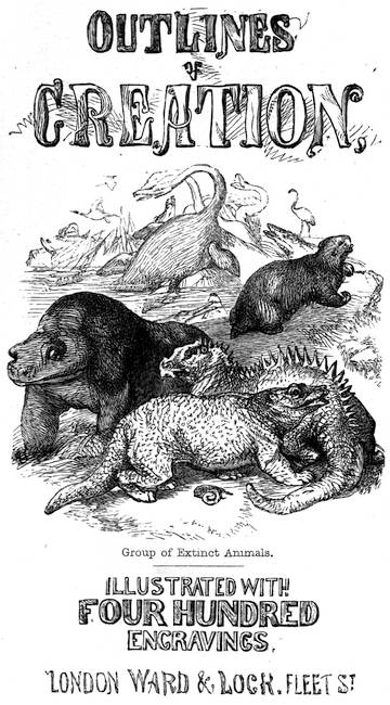 Outlines of Creation