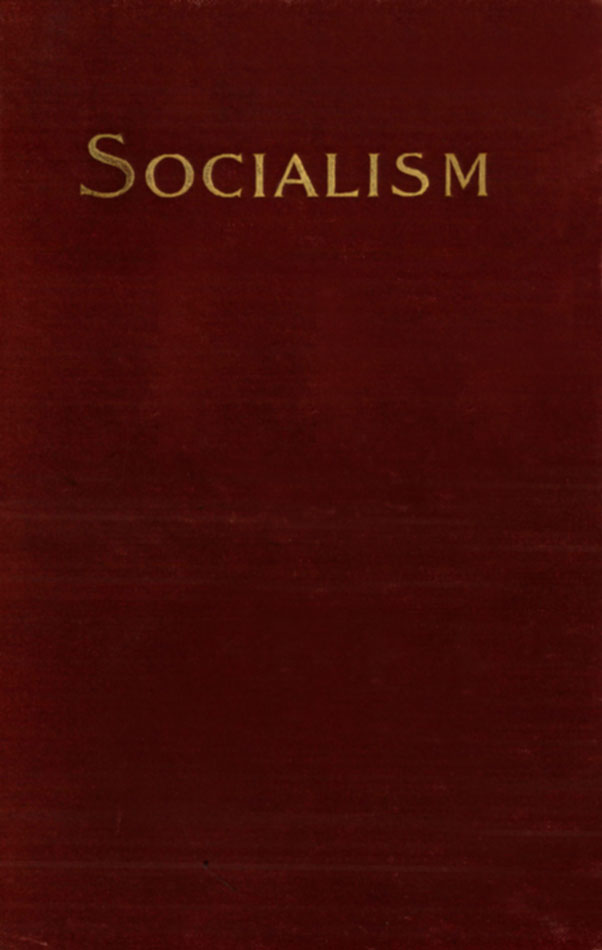 Socialism and the Social Movement in the 19th Century