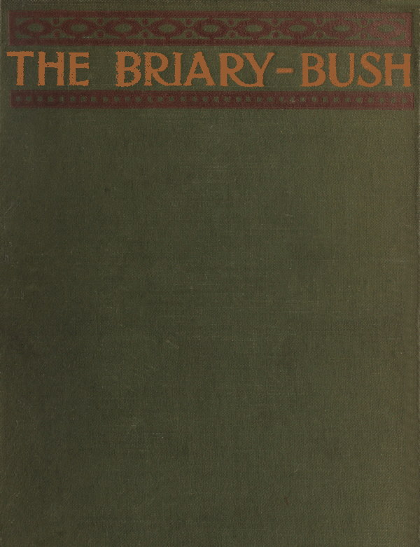 The Briary Bush: A Novel