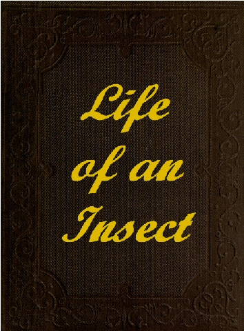 The Life of an Insect  being a history of the changes of insects from the egg to the perfect being.