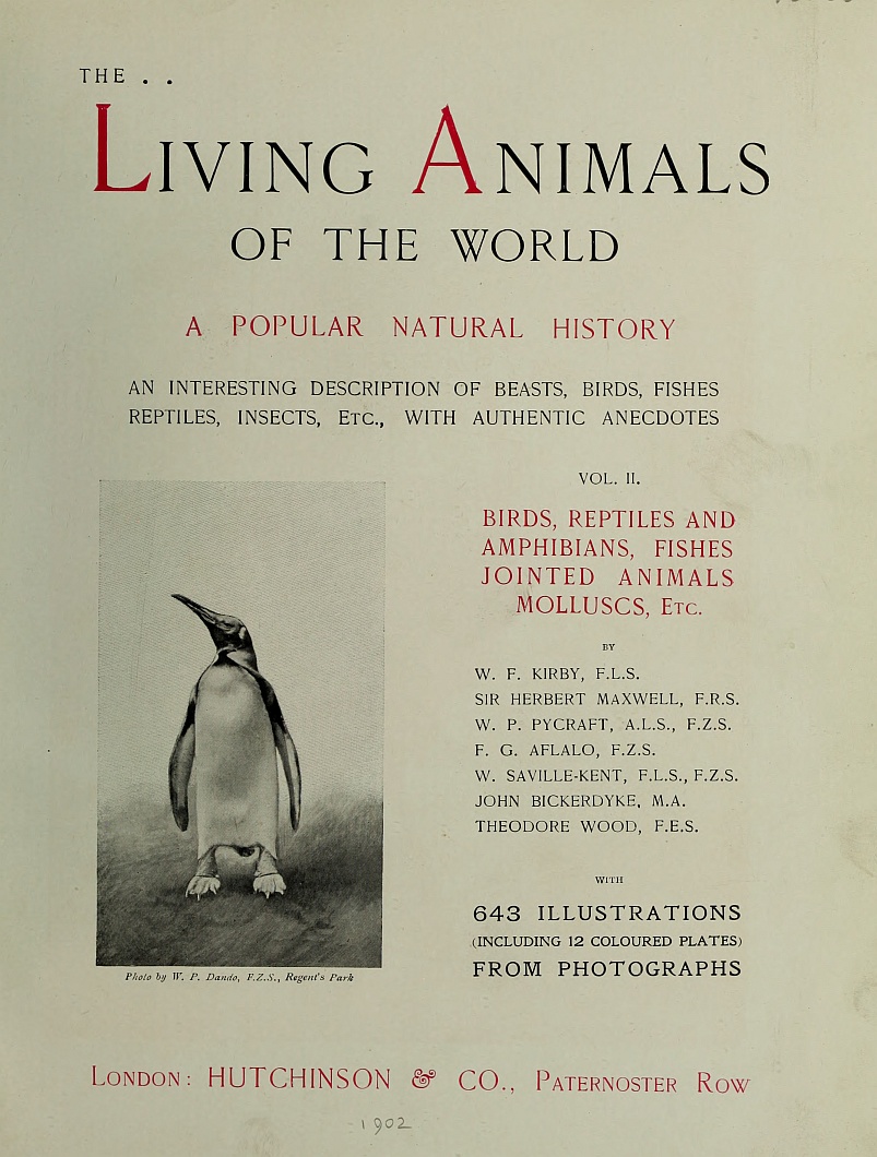 The Living Animals of the World, Volume 2 (of 2)  A Popular Natural History