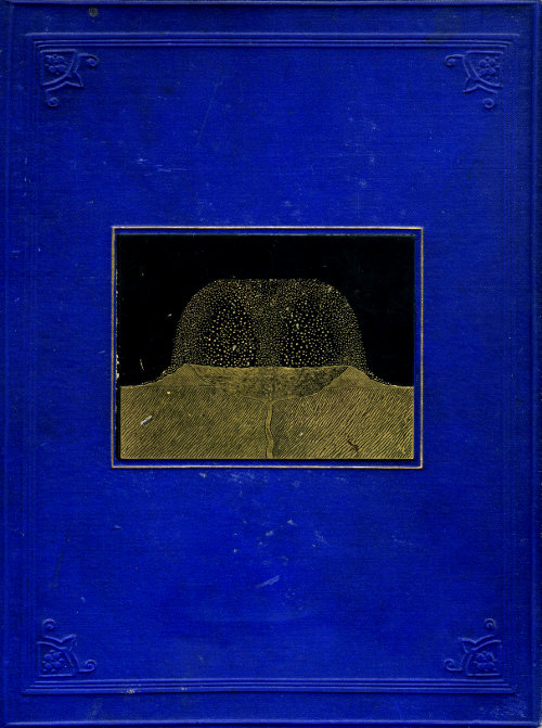 The Moon: considered as a planet, a world, and a satellite.