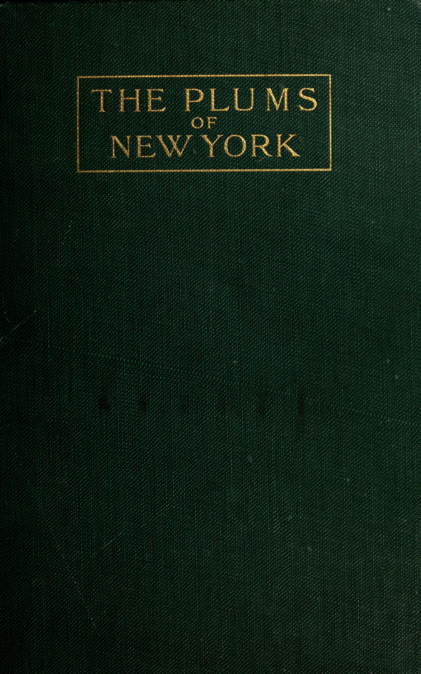 The plums of New York