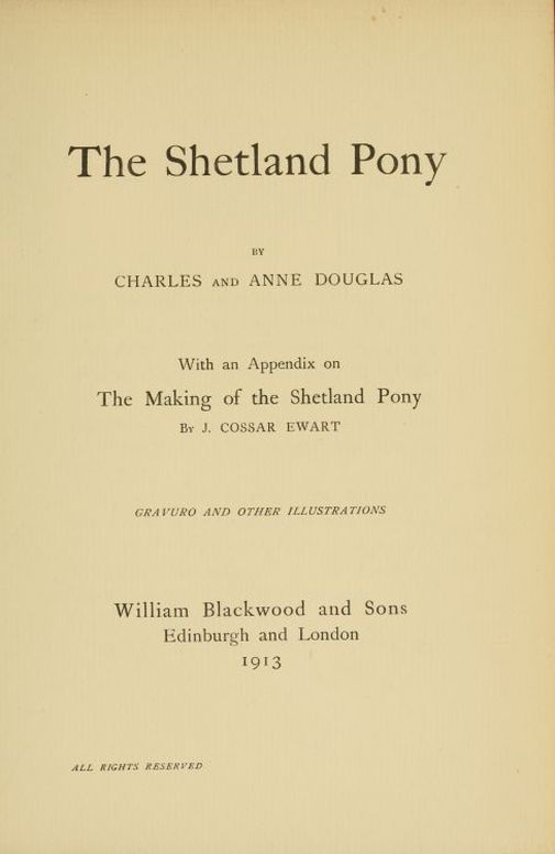 The Shetland Pony