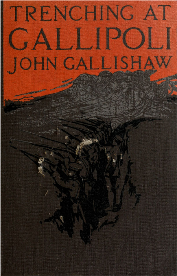 Trenching at Gallipoli  The personal narrative of a Newfoundlander with the ill-fated Dardanelles expedition
